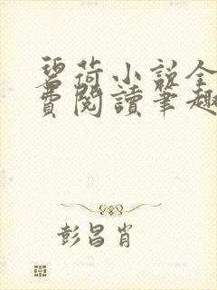 碧荷小说全文免费阅读笔趣阁