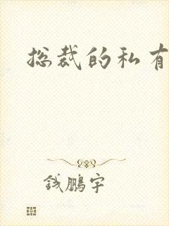 总裁的私有宝贝