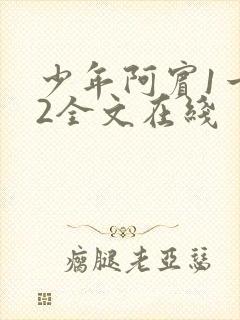 少年阿宾1一72全文在线