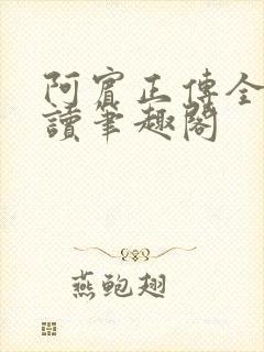 阿宾正传全文阅读笔趣阁