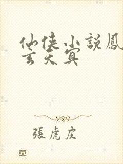 仙侠小说凤羽珩玄天冥