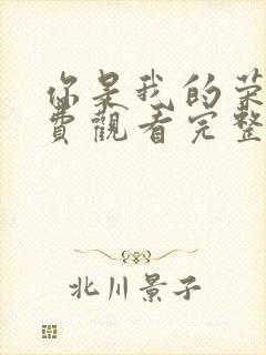 你是我的荣耀免费观看完整版高清