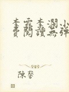 李霖李澜小说免费阅读无弹窗封面