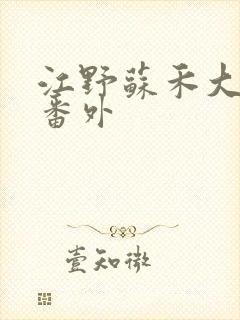 江野苏禾大结局番外