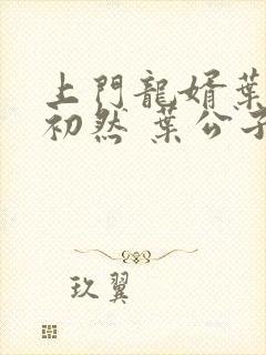 上门龙婿叶辰萧初然 叶公子