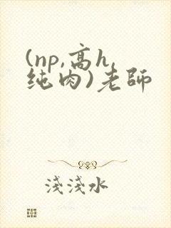 (np,高h,纯肉)老师封面