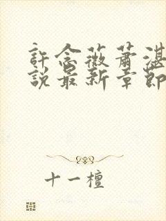 许念薇萧湛明小说最新章节免费阅读