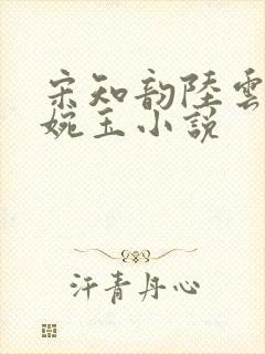 宋知韵陆云归秦婉玉小说