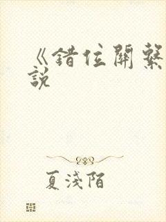 《错位关系》小说