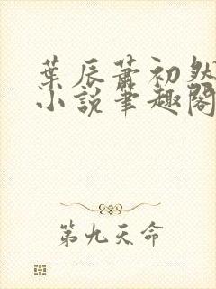叶辰萧初然顶点小说笔趣阁