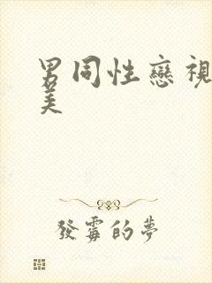 男同性恋视频欧美