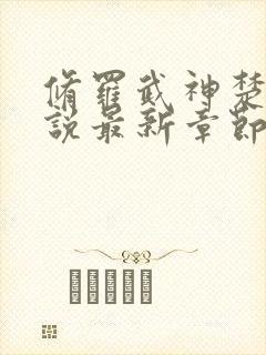 修罗武神楚枫小说最新章节阅