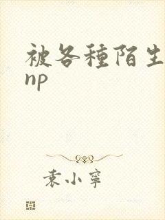 被各种陌生人 np