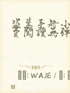 盗墓手册小说免费阅读无弹窗