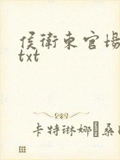 侯卫东官场笔记txt