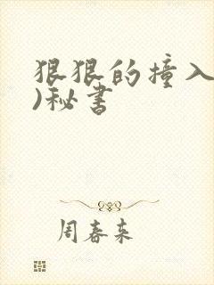 狠狠的撞入(h)秘书