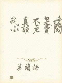 我真不是坏男人小说免费阅读