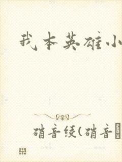 我本英雄小说