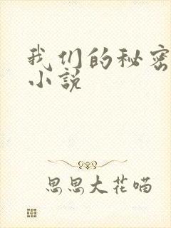 我们的秘密泰剧小说