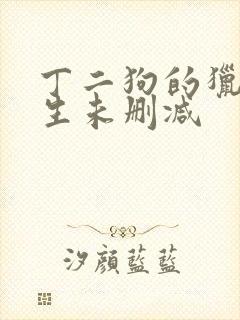 丁二狗的猎艳人生未删减