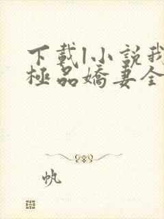 下载l小说我的极品娇妻全部