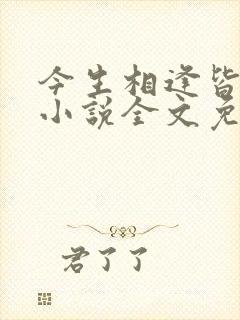 今生相逢皆是错小说全文免费阅读