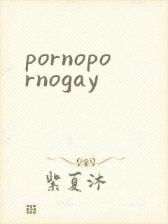 pornopornogay
