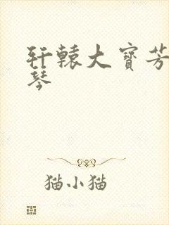 轩辕大宝芳菲雅琴