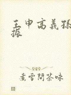 王申高义孙倩赵振