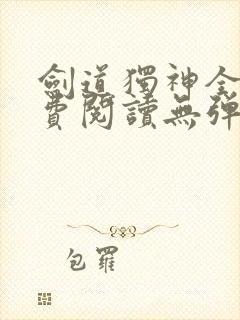 剑道独神全文免费阅读无弹窗封面