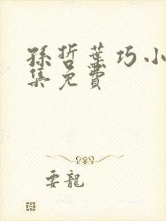 孙哲叶巧小说全集免费封面