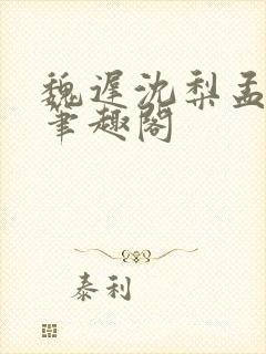 魏迟沈梨孟灵薇笔趣阁