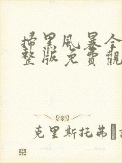 扫黑风暴全集完整版免费观看