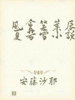 风会笑叶辰孙怡夏若雪小说封面