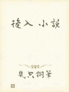 后入 小说