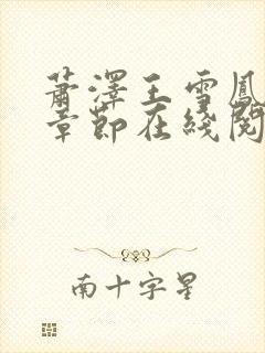 萧泽王雪凤全部章节在线阅读小说