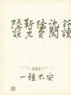 陆靳桥沈舒宁小说免费阅读最新章节