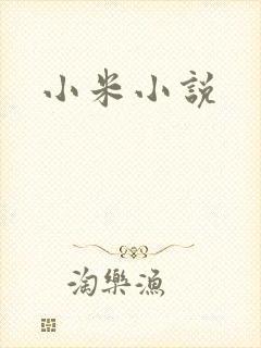 小米小说