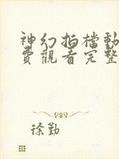 神幻拍档动漫免费观看完整版