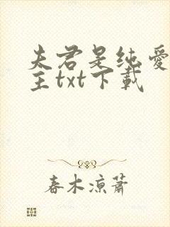 夫君是纯爱文男主txt下载