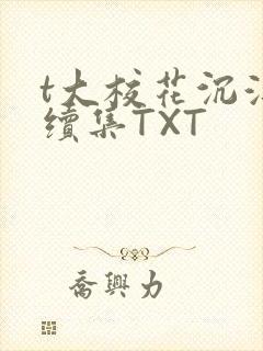 t大校花沉浮录续集TXT封面