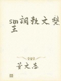 sm调教文双男主封面