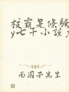 校霸是条骚狗by七千小说免费阅读封面