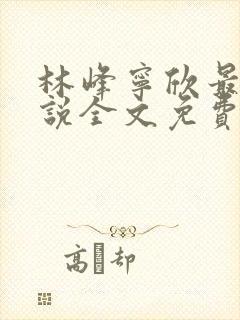 林峰宁欣最新小说全文免费阅读封面