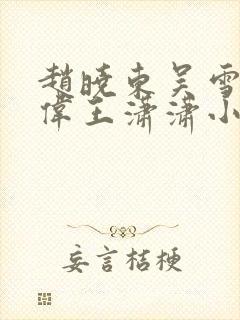 赵晓东吴雪晴郑伟王潇潇小说名字