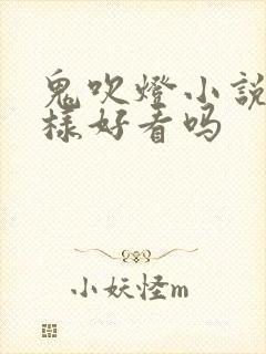 鬼吹灯小说怎么样好看吗