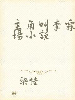 主角叫李霖的官场小说