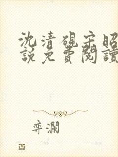 沈清砚宋昭汐小说免费阅读最新章节