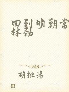 回到明朝当王爷林劲