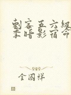 刺客五六级第四季暗影宿命免费观看封面